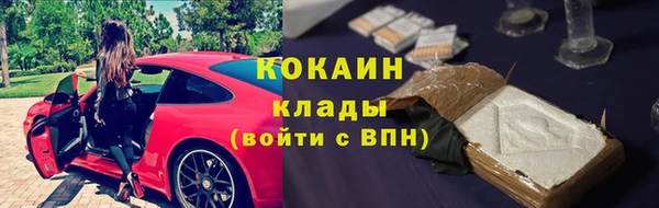 гидра Инта