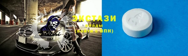 гидра Инта