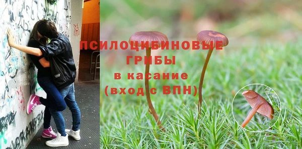 MESCALINE Иннополис