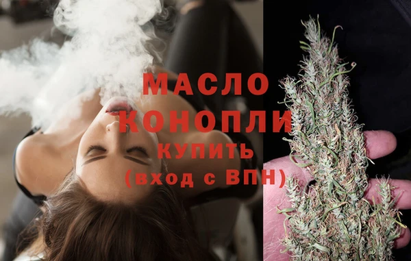 гидра Инта