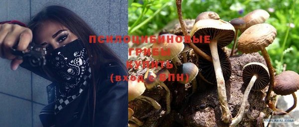 MESCALINE Иннополис