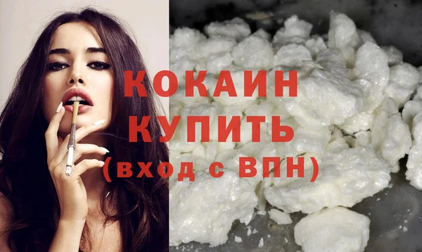 гидра Инта
