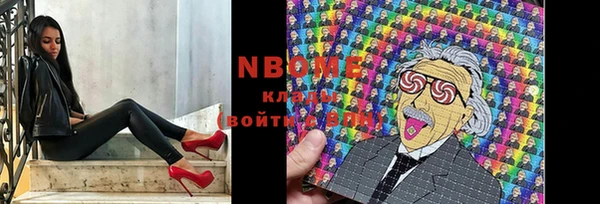 гидра Инта