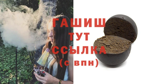 гидра Инта