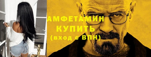 гидра Инта