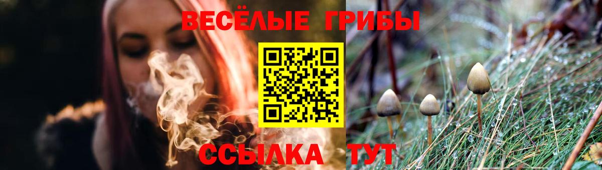 Галлюциногенные грибы ЛСД Истра